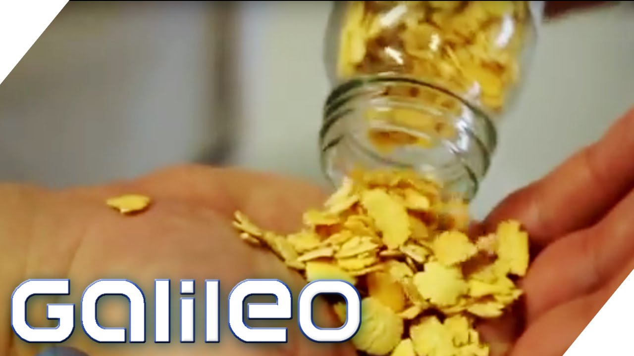 Milch ohne Kuh? | Galileo | ProSieben