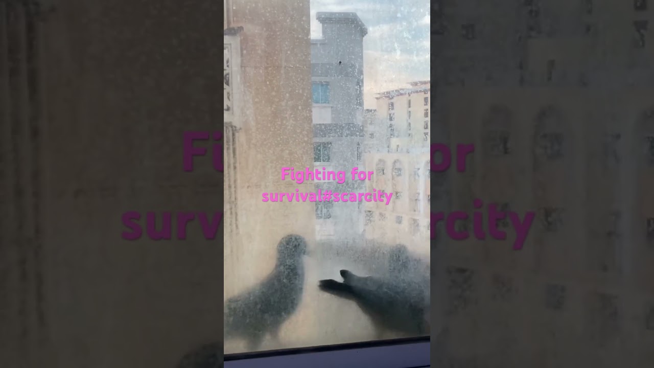 #fightingforsurvival