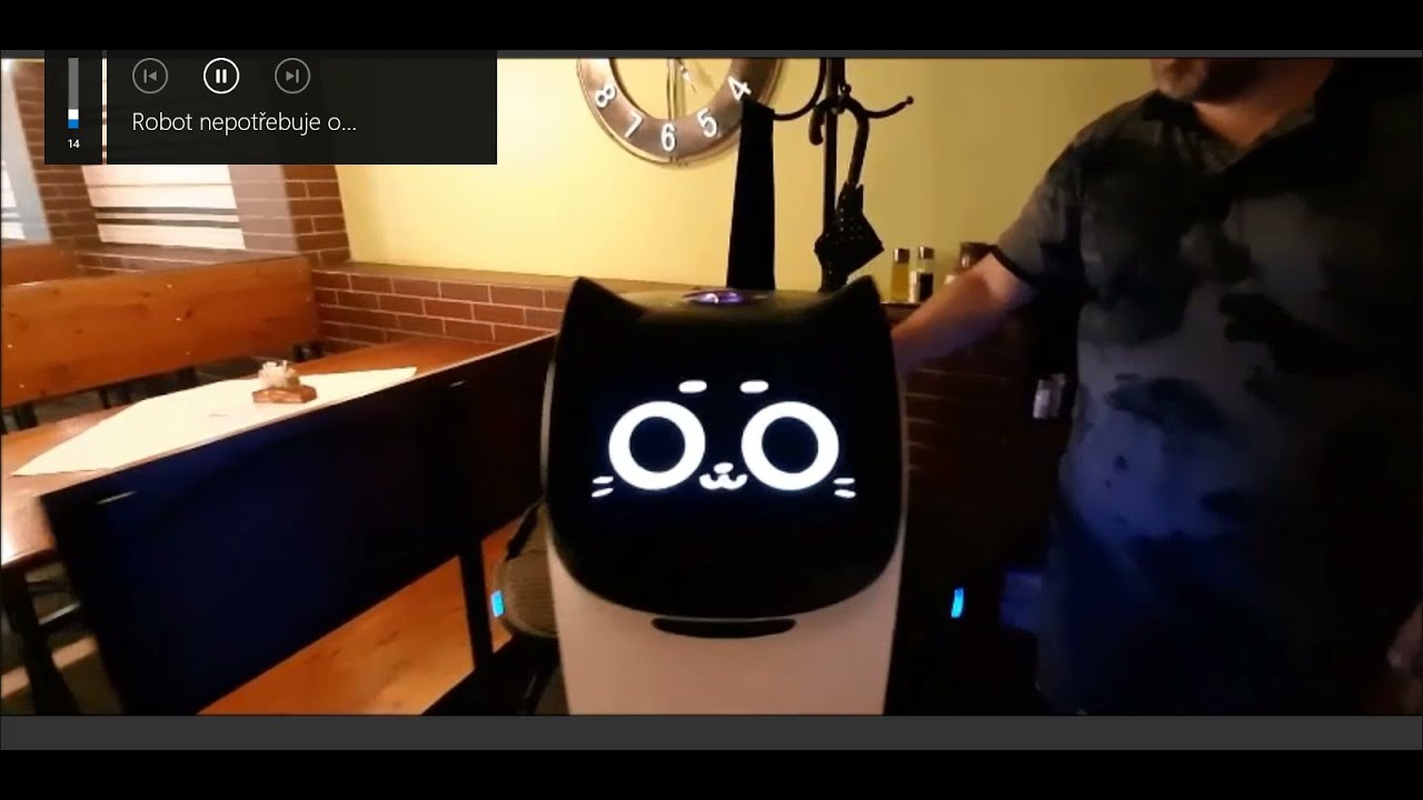 Robot cat waiter in restaurant