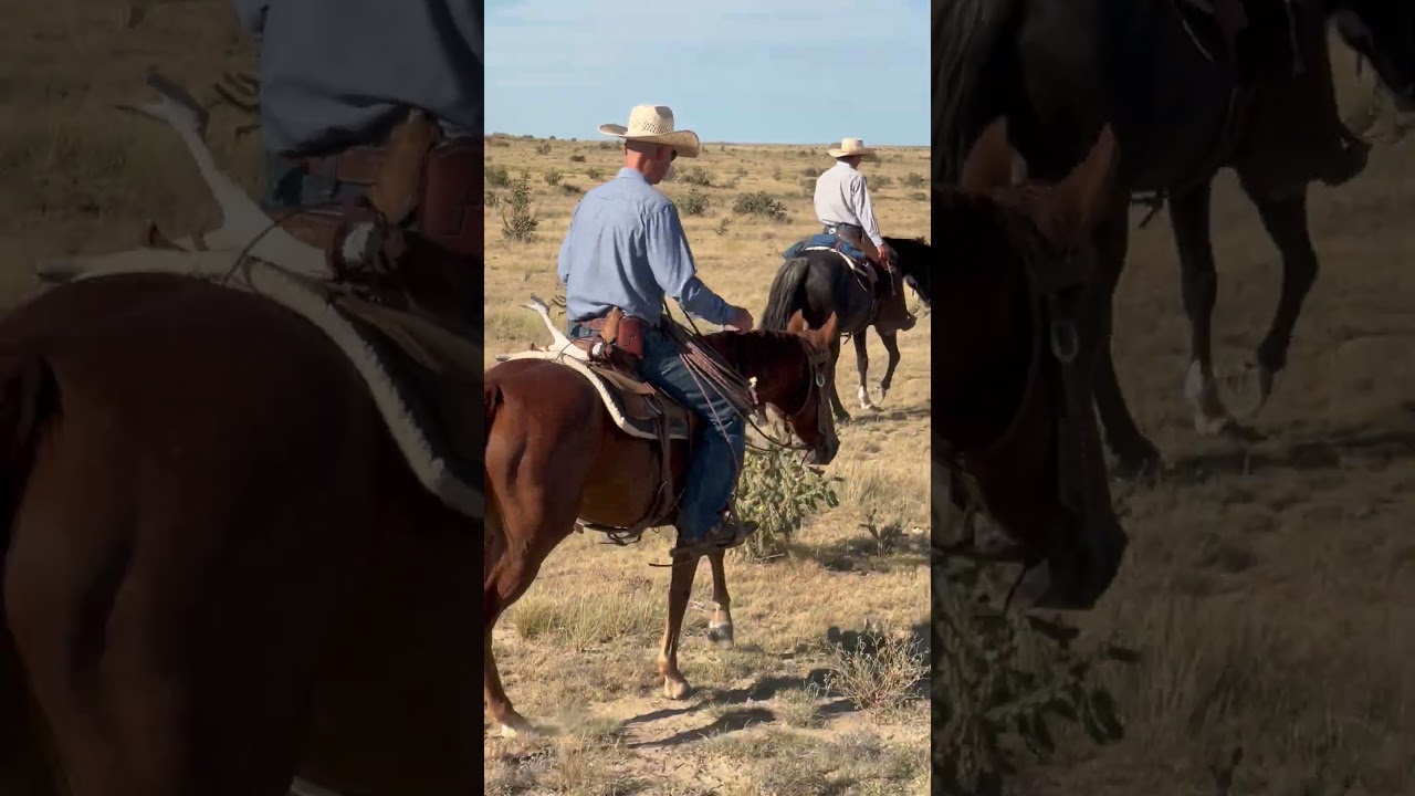 Colorado Cattle Working Birthday Featuring Los Fowlers De Louisiana 🎉🎂