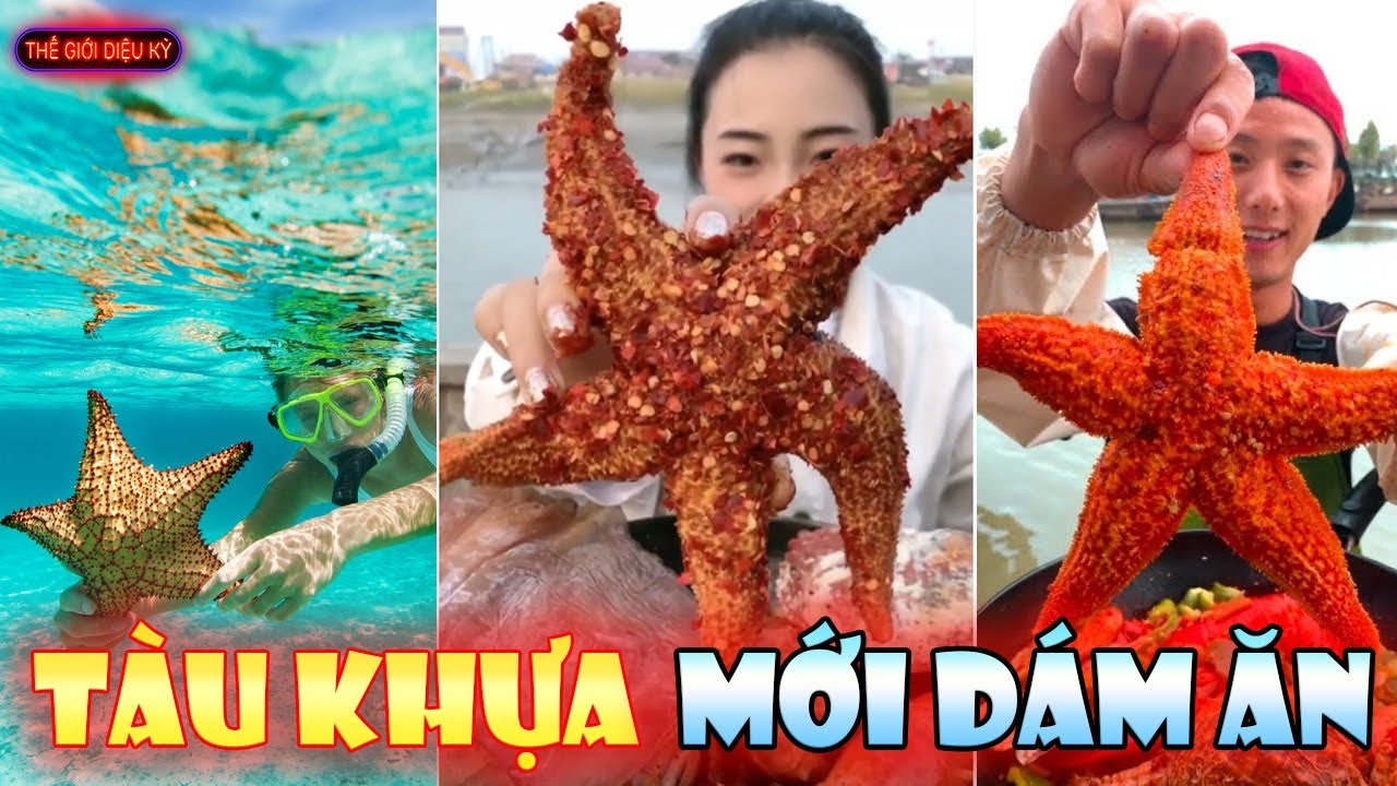 35 Sự Thật Kỳ Quặc Về Lo&agrave;i Sao Biển Chắc Chắn Khiến Bạn Phải Ngỡ Ng&agrave;ng