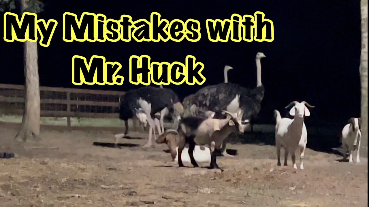 Learning what I did wrong: the final 24 with Mr. Huck