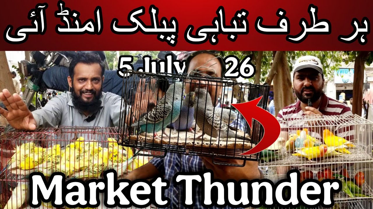 Lalukhet birds market part 1 5 July 2026 | Cheapest price birds market in Karachi Pakistan