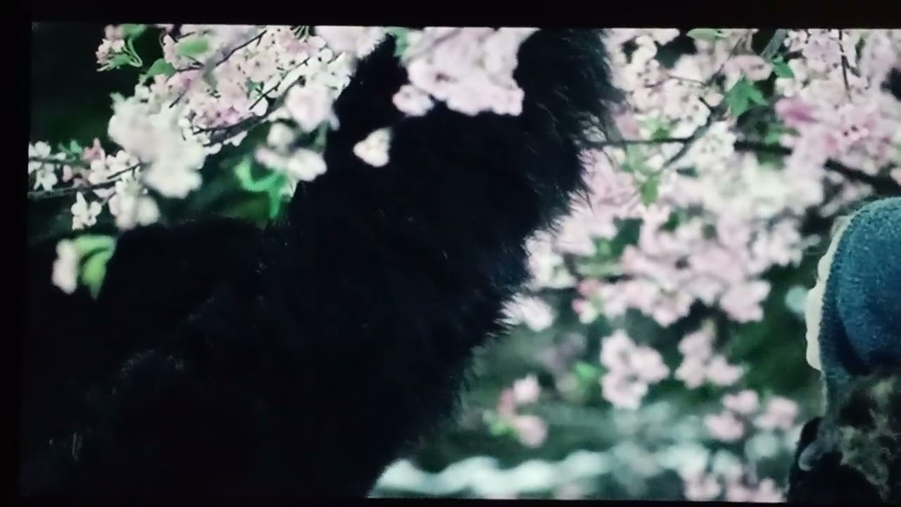 Planet der Affen: Survival, 2017 - Die Blume/The Flower