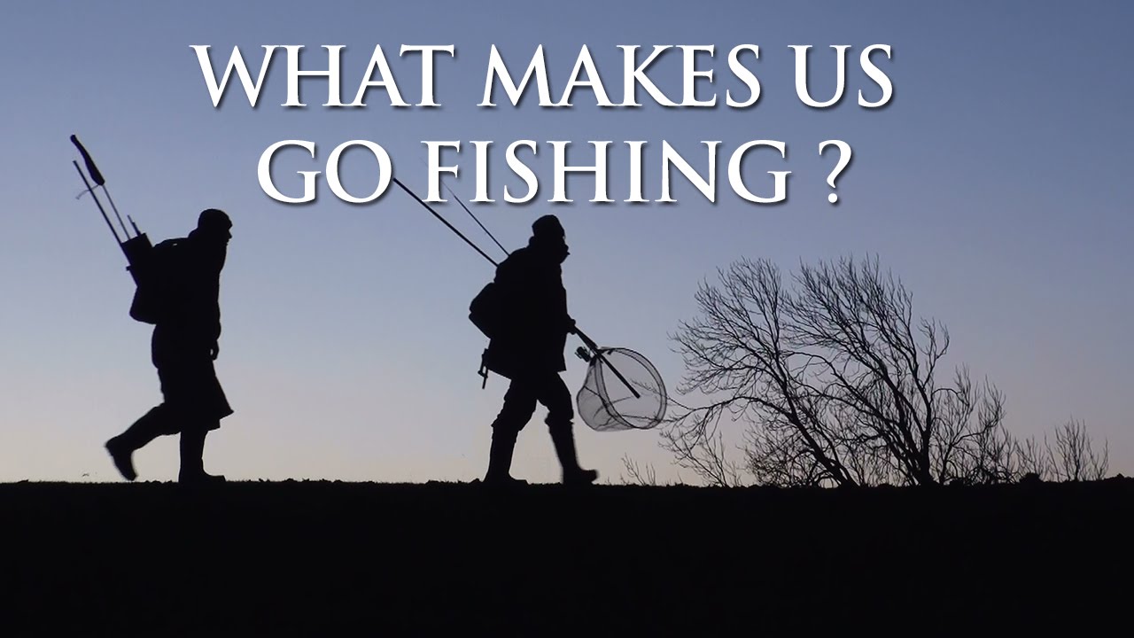 What makes us Go Fishing ?