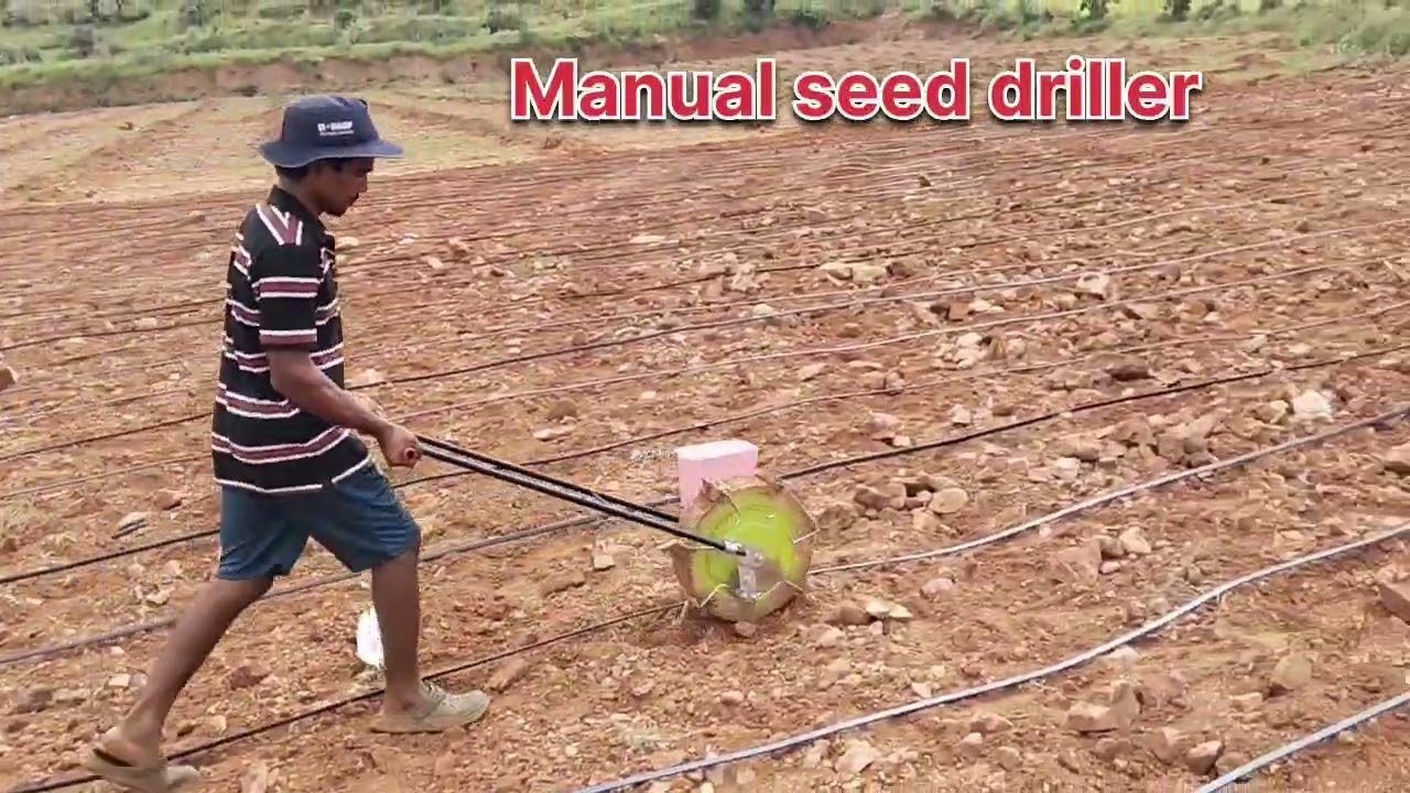 Manual seed driller తో మొక్కజొన్న పెడుతున్నాను ❤️❤️🥰🥰