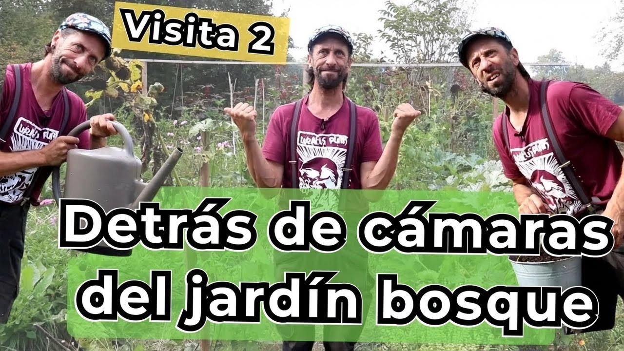 Así transformé mi jardín en un bosque comestible: descubre los 2 secretos clave