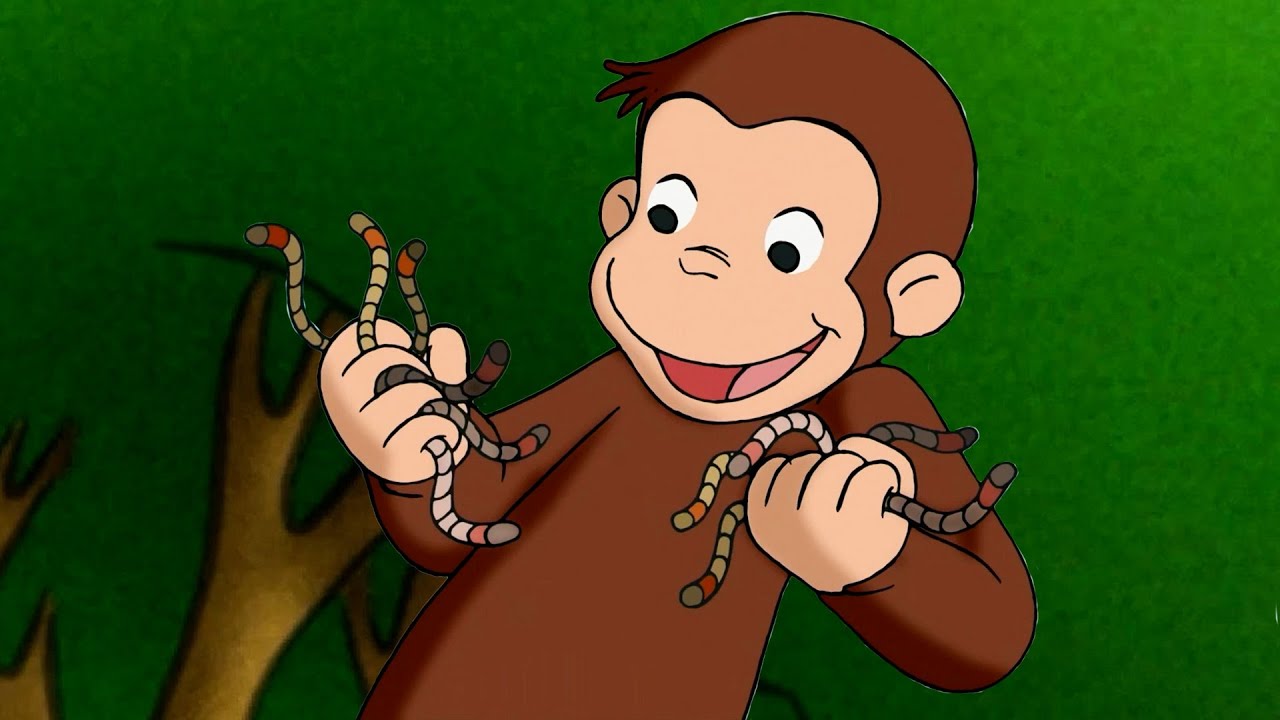 Una casa per i vermi! 🐵 Curioso Come George 🐵 Cartoni per Bambini