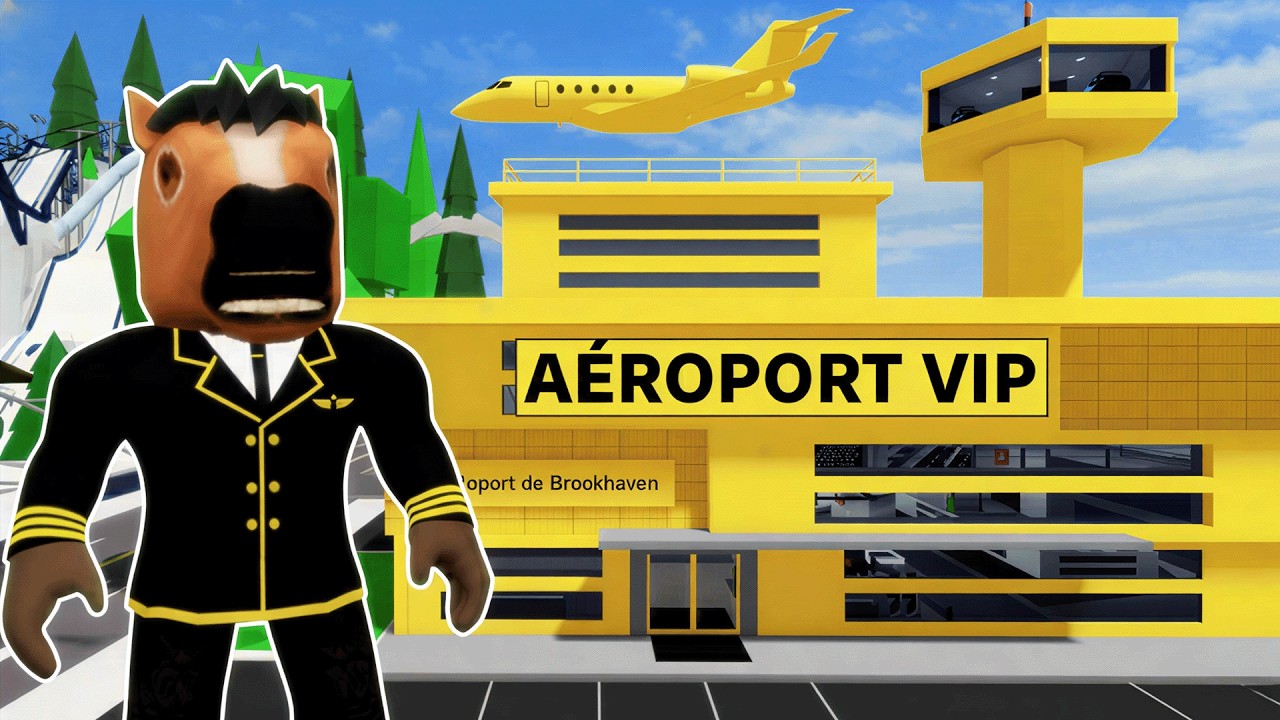 J'INSTALLE UN SERVICE AÉRIEN POUR LES VIP SUR BROOKHAVEN ROBLOX