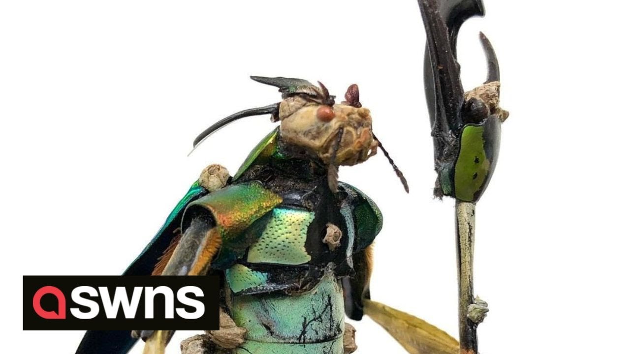Artist creates intricate sculptures using dead insects - with each costing more than &pound;400 | SWNS