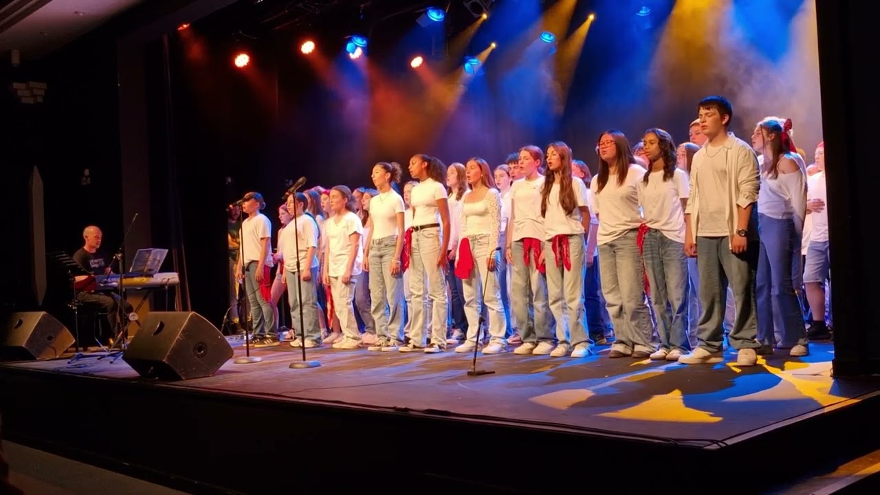 RESISTER (What about peace?) Slimane Cover Chorale Collège Parc des Tourelles
