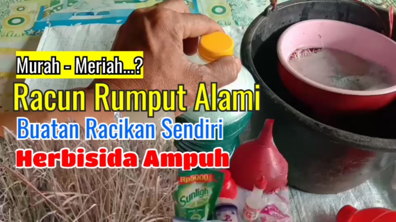 *Cara mudah membuat racun rumput