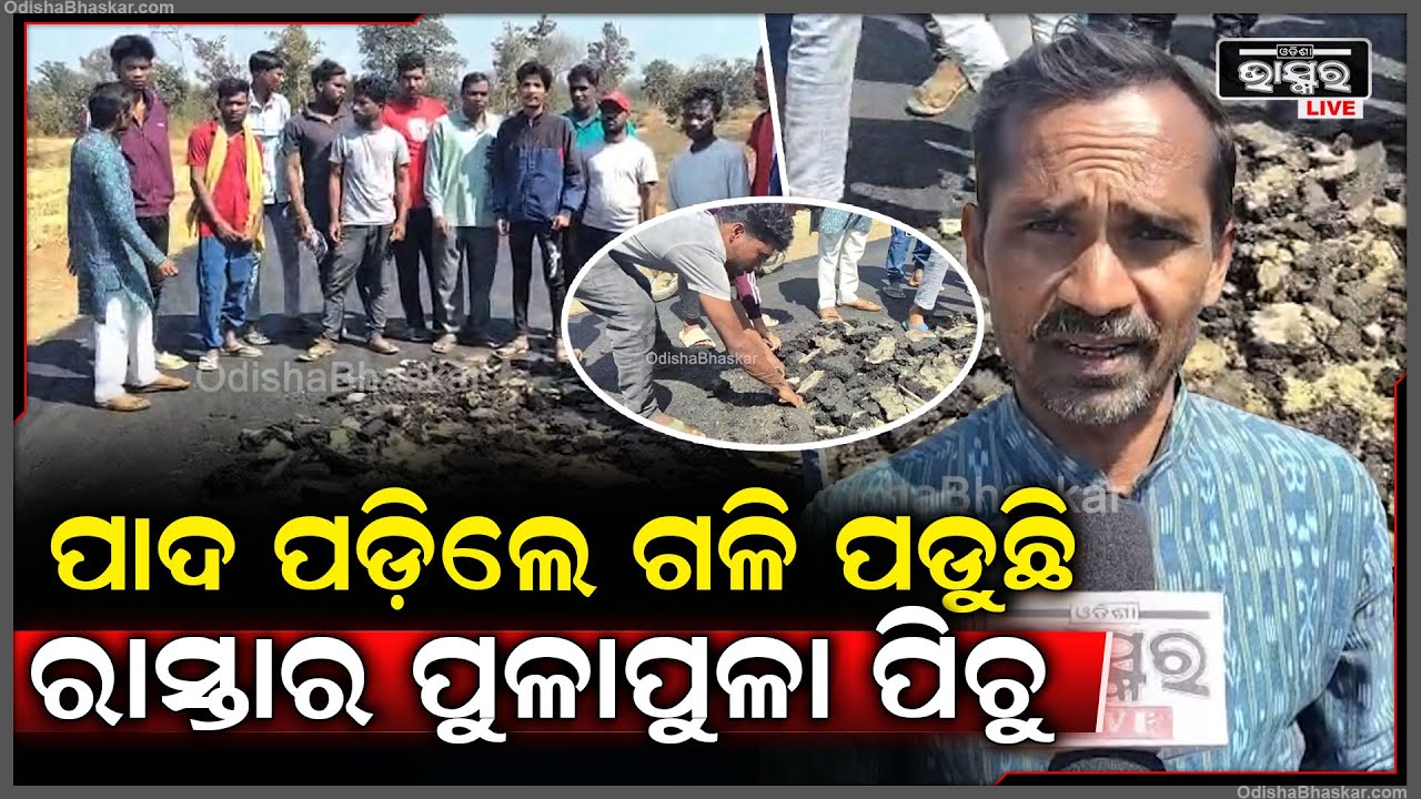 ରାତି ରାତ ପିଚୁ କାମ ସାରି ଠିକାଦାର ଫେରାର, ସକାଳେ ଦେଖିବାରୁ ଗୋଟିଏ ଦିନରେ ପାମ୍ପଡ ଭଳି ଉଠି ପଡୁଛି ପିଚୁ