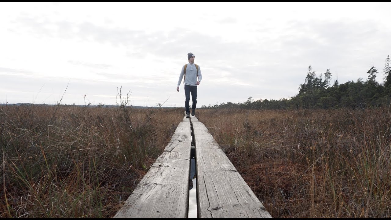 Exploring Store Mosse national park in Sweden