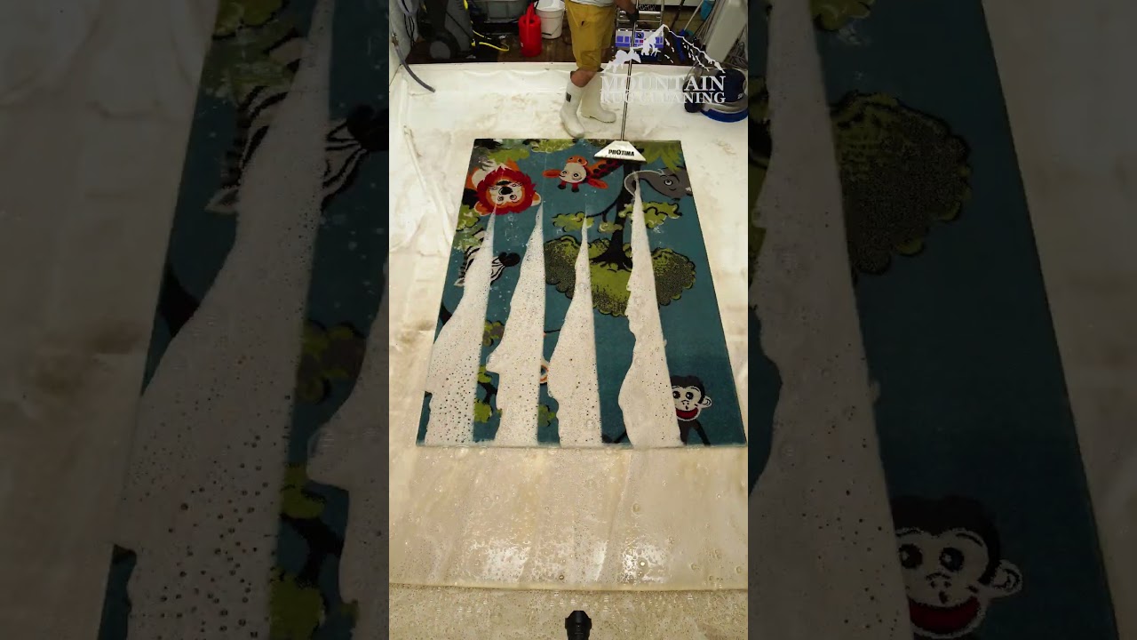 INCREDIBLE Full Rug Clean Timelapse Reveals Something AMAZING! Satisfying ASMR Timelapse. #shorts