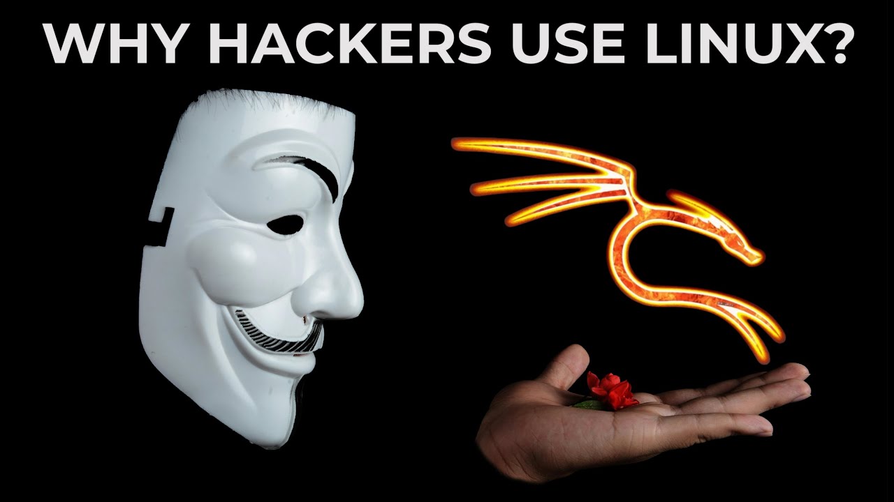 Что такое KALI LINUX? | Узнайте все о LINUX.