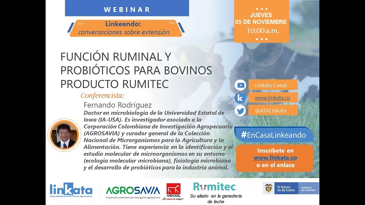 Conferencia | Bovinos: función ruminal y probióticos, producto RUMITEC