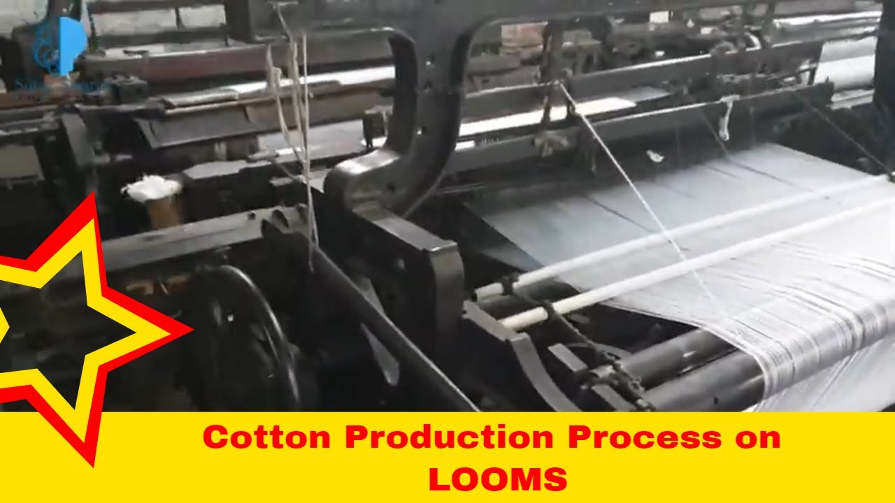 Cotton Fabric Manufacturing Process | Warp and Weft | Cotton Production | Looms Weaving Process