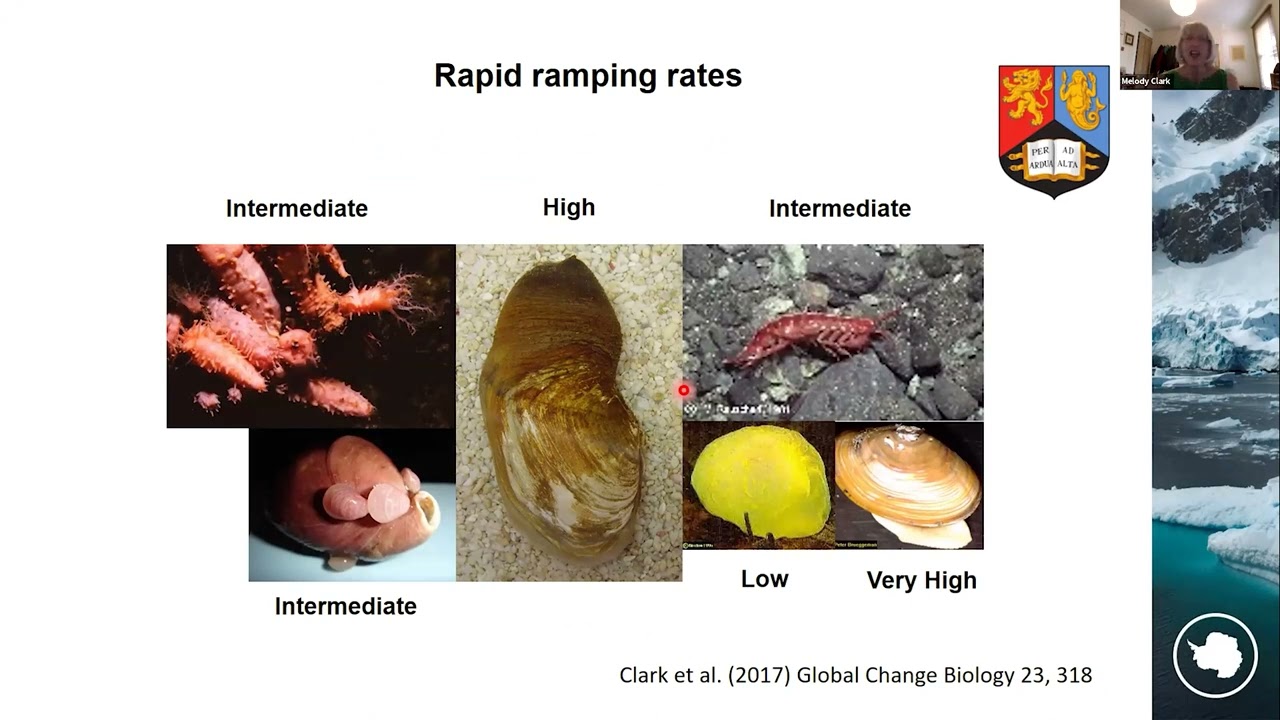 Assemble Plus Conference 2022 - Day 8