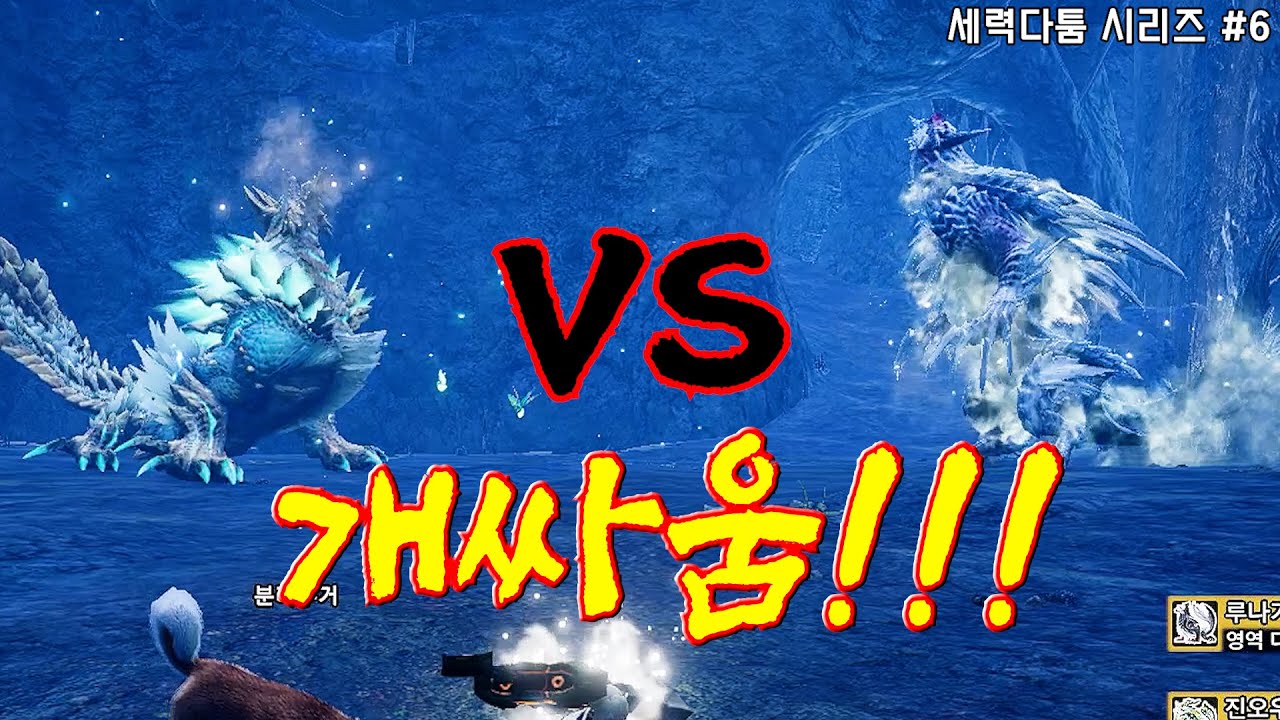 싸움구경이 최고지!! 고룡과 대적하는 새로운 깡패 등장!! 몬스터헌터 선브레이크 세력다툼 모음