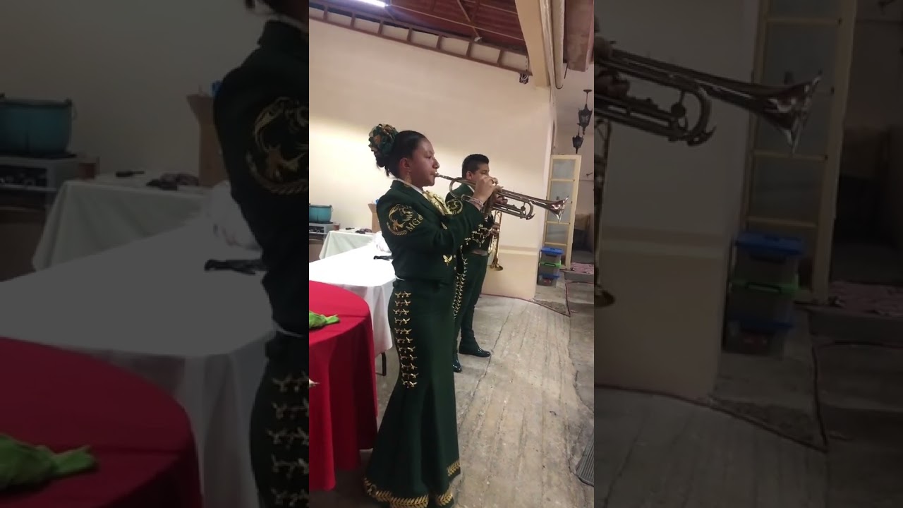 Solo de Trompeta - As&iacute; fue 🤩