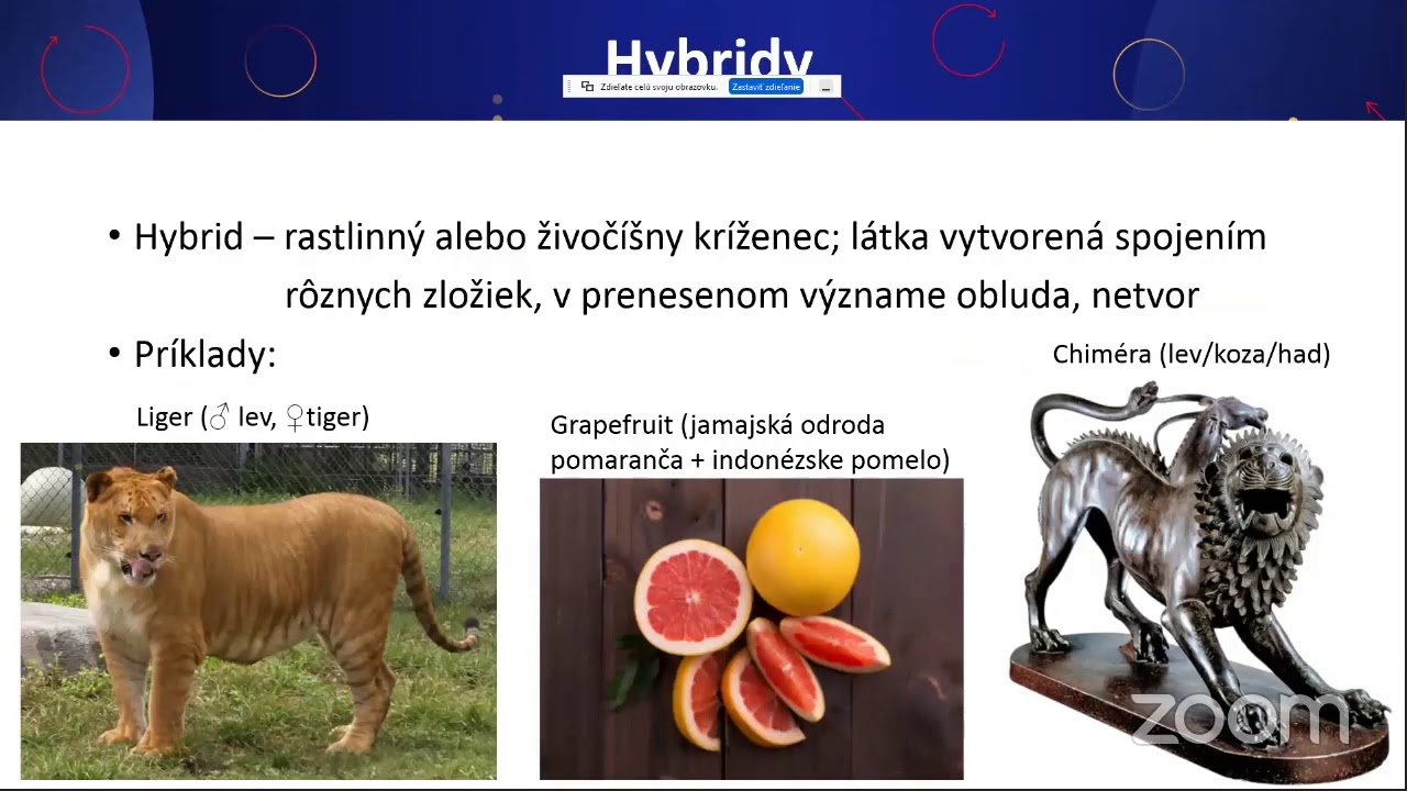 Hybridné materiály  - chémia 21  storočia - Marek Pribus, Peter Boháč, Ústav anorganickej chémie SAV