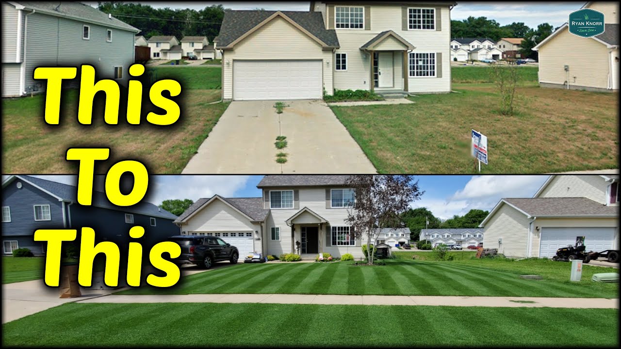 How I Transformed My Lawn WITHOUT A Complete Renovation