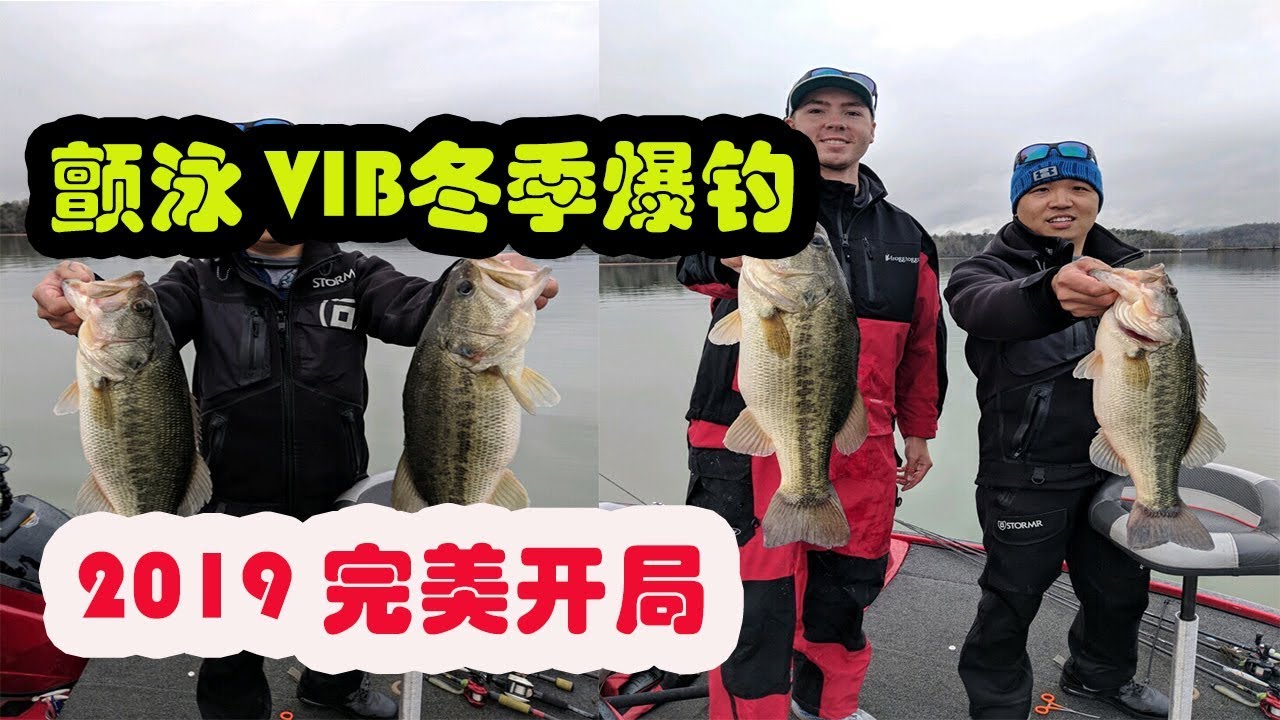 路亚硬饵颤泳VIB冬季爆钓(part 1)/Winter bass lipless crankbait fishing