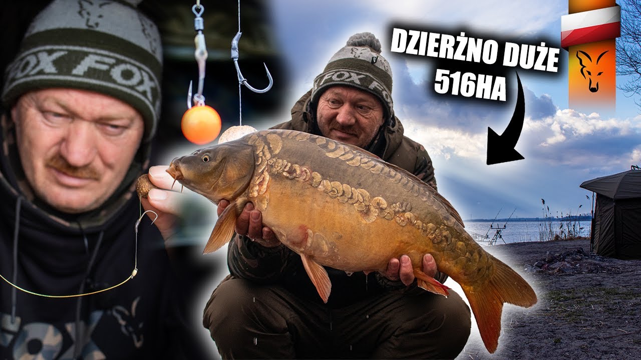 Karpiowanie na DZIERŻNIE DUŻYM w marcu | carp fishing