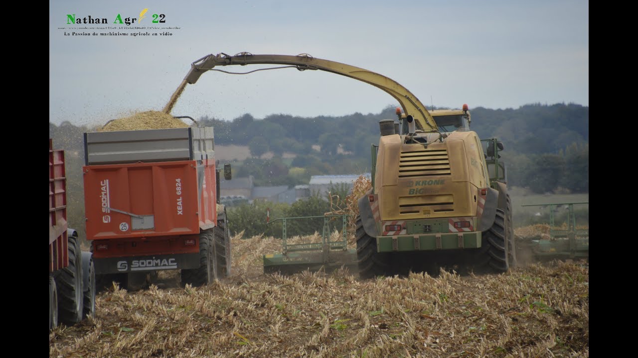 Krone BIG X 1100 and 12 Rows | ETA Briand