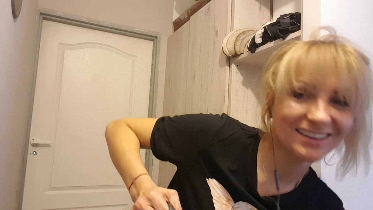 POLISH ASMR,motorcycle shop, role Play💤sklep Motocyklowy 💤