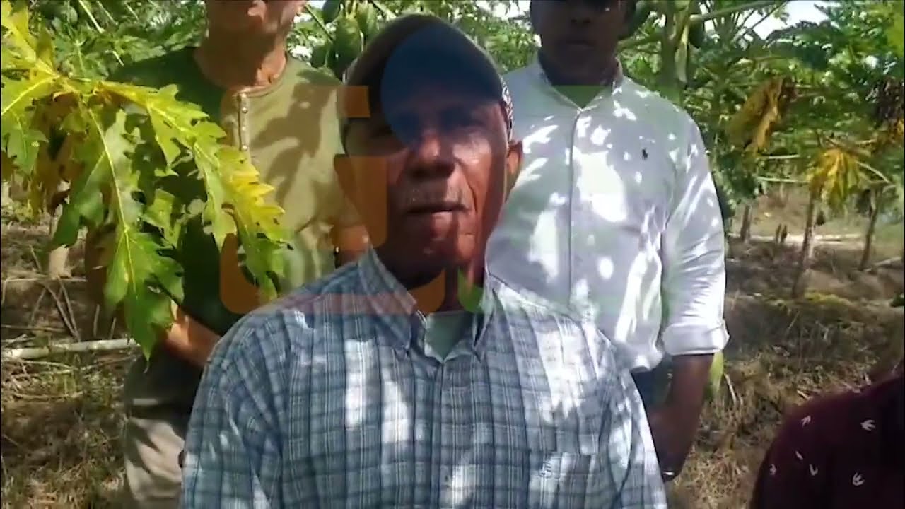Los agrónomos de La Vega acusan al ministro de Agricultura de “propiciar su desaparición”