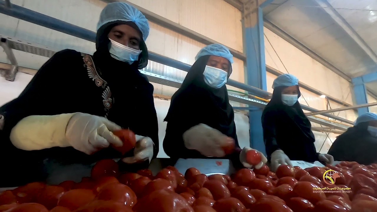 Export Development Group Film