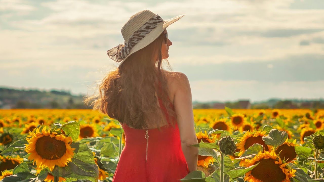 Bam Bam Bam Ce Gagica Belea Am (live session) Parodie Originala By Tador Artistu #manelenoi