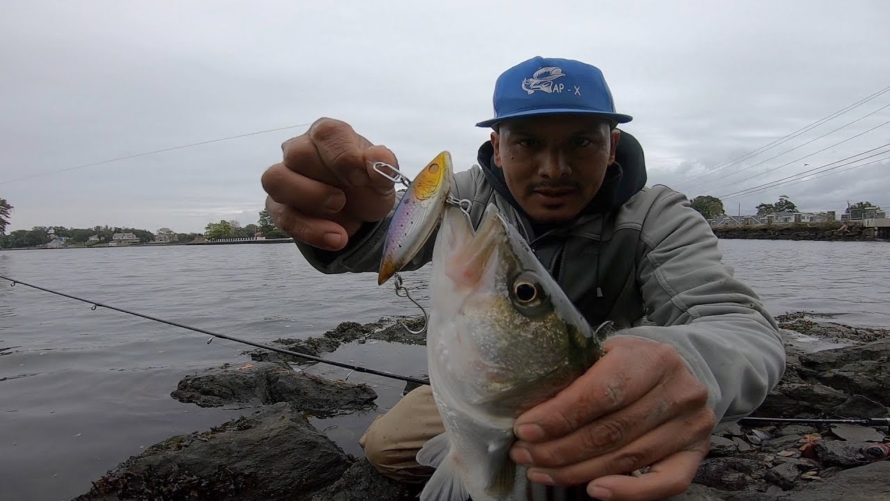 pesca en agua salada con equipo ligero