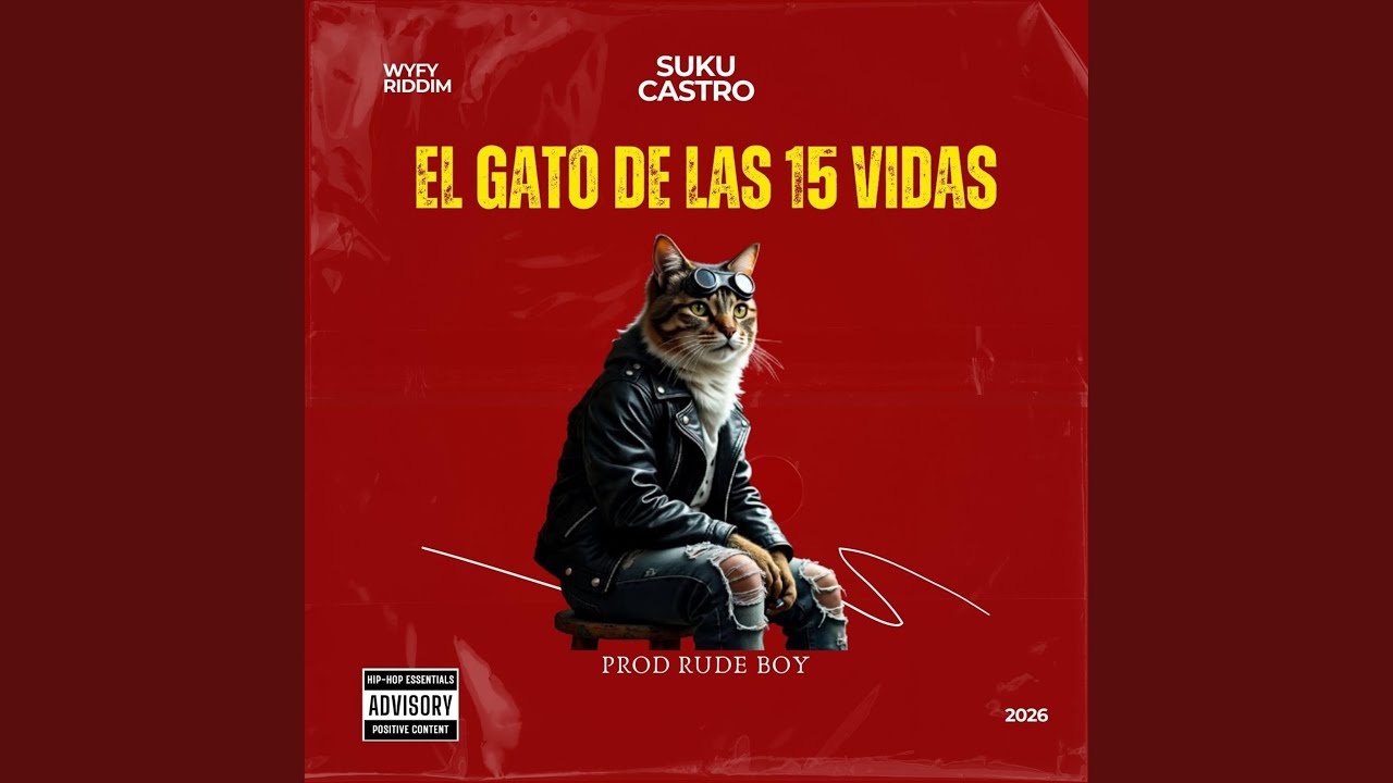 EL GATO DE LAS 15 VIDAS