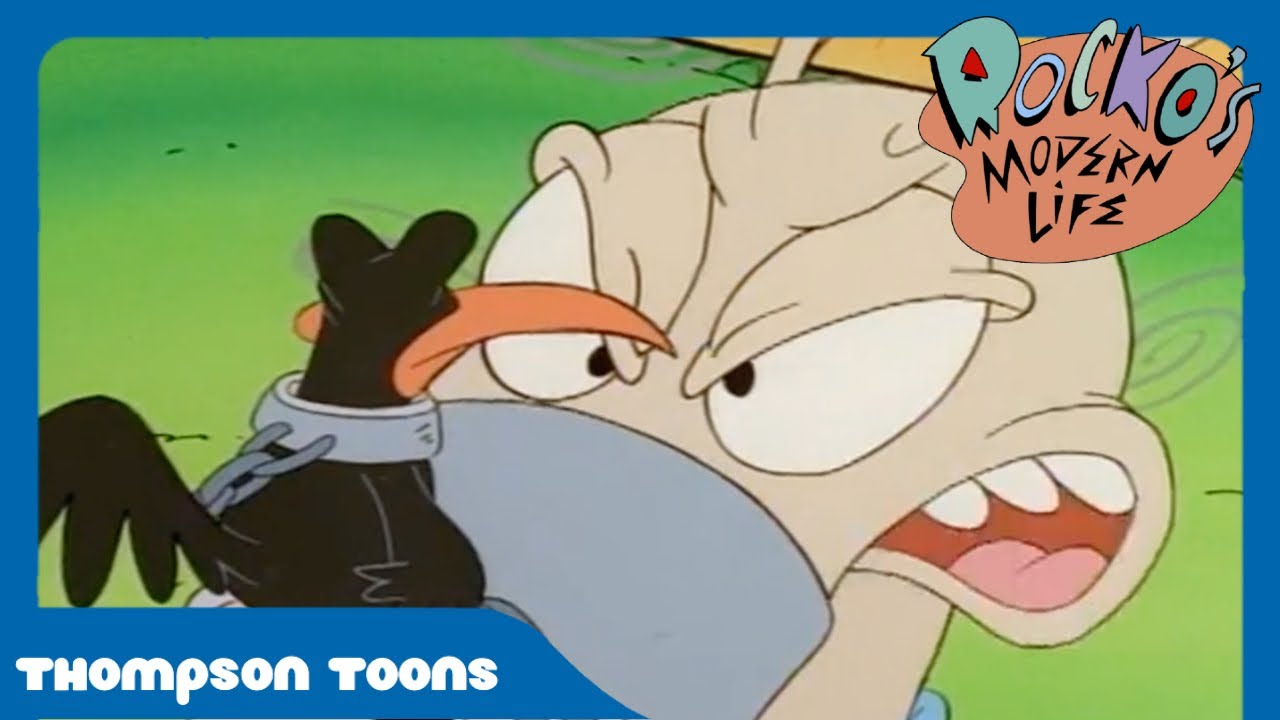 The Bird Problem | Rocko's Modern Life | Thompson Toons