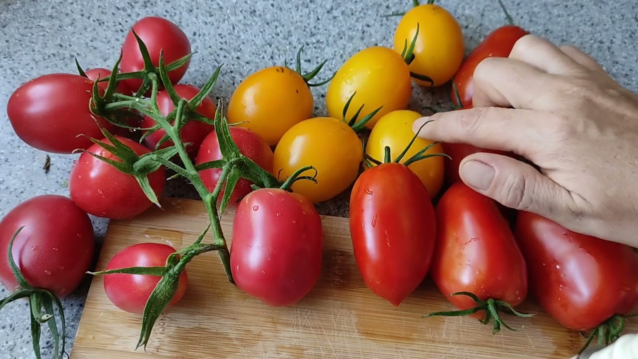 🍅Tomaten nach Sorten🍅De Berao/alle Farben 🍅 Der Vergleich.