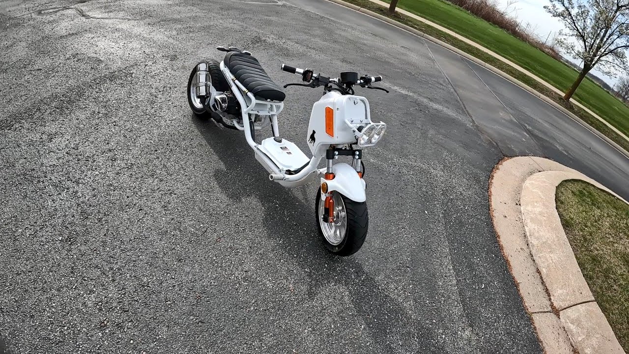 Test Ride - Ice Bear Mad Dog 50cc