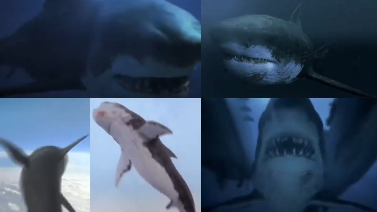 Mega Shark Versus Mecha Shark [2014] - Mega Shark / Megalodon Screen Time