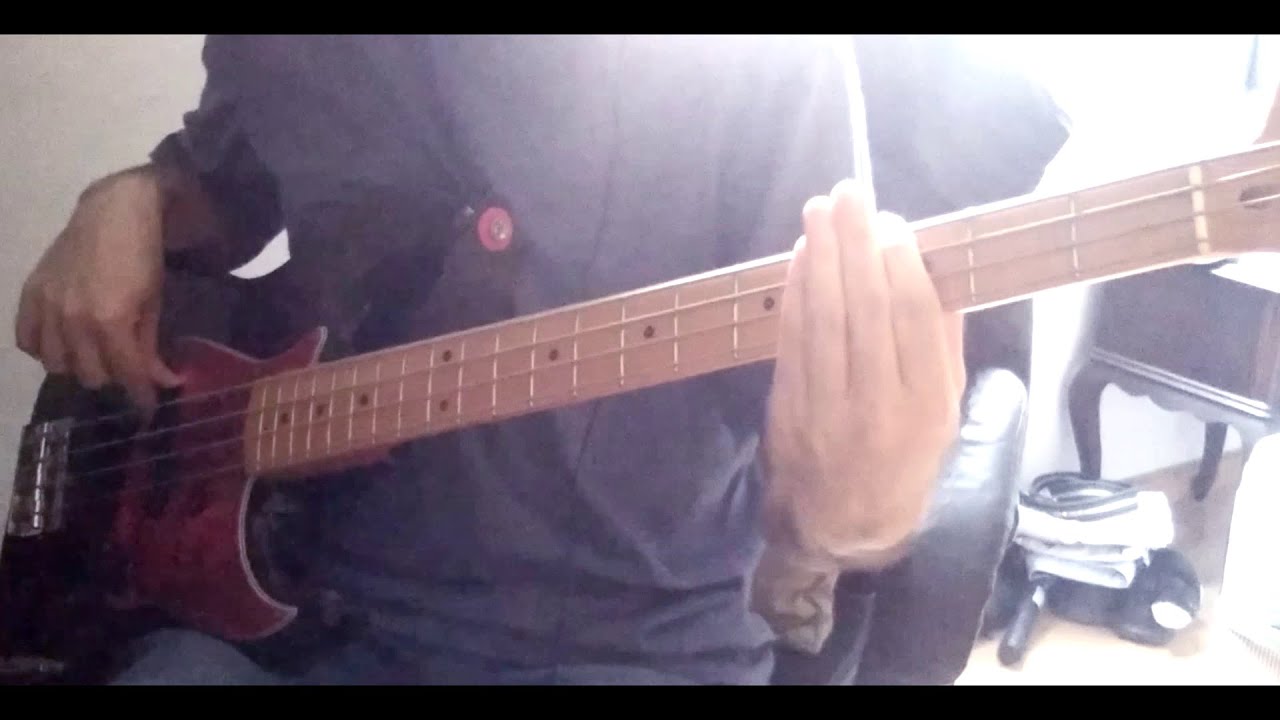 john + jane q. public - watermelon (BASS cover)