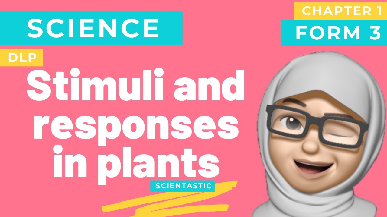 SCIENCE | KSSM| DLP | FORM 3 | 1.3 STIMULI AND RESPONSES IN PLANTS