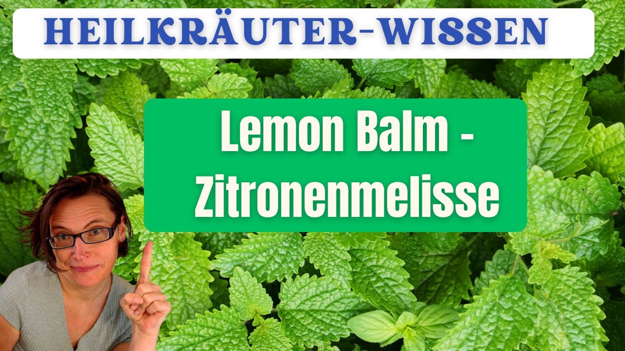 Zitronenmelisse (Lemon Balm): Wirkung, Grenzen & warum sie so gut fürs Nervensystem ist.