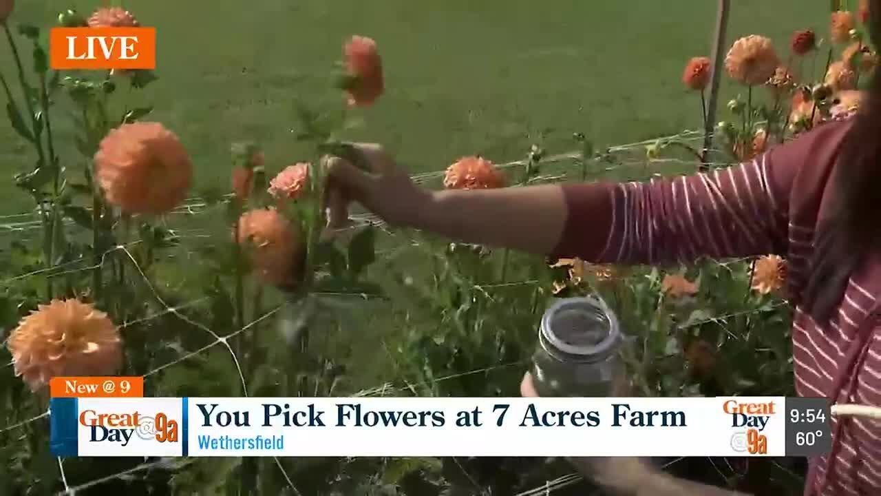 Pick your flowers at 7 Acres Farm