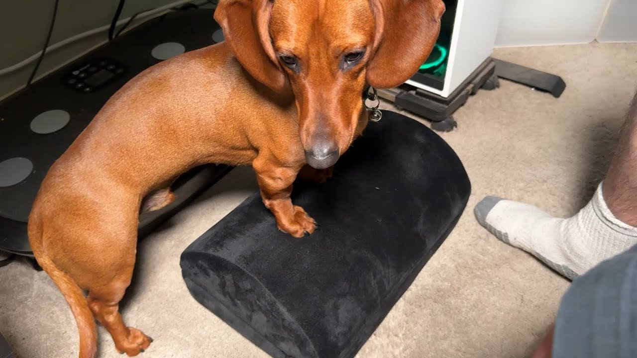 Most Comfortable Foot Rest! ErgoFoam Under Desk Foot Rest