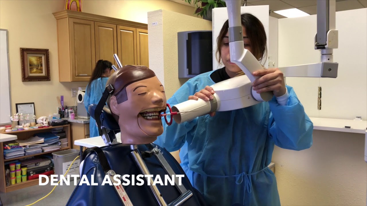 How to Start a Career in Healthcare