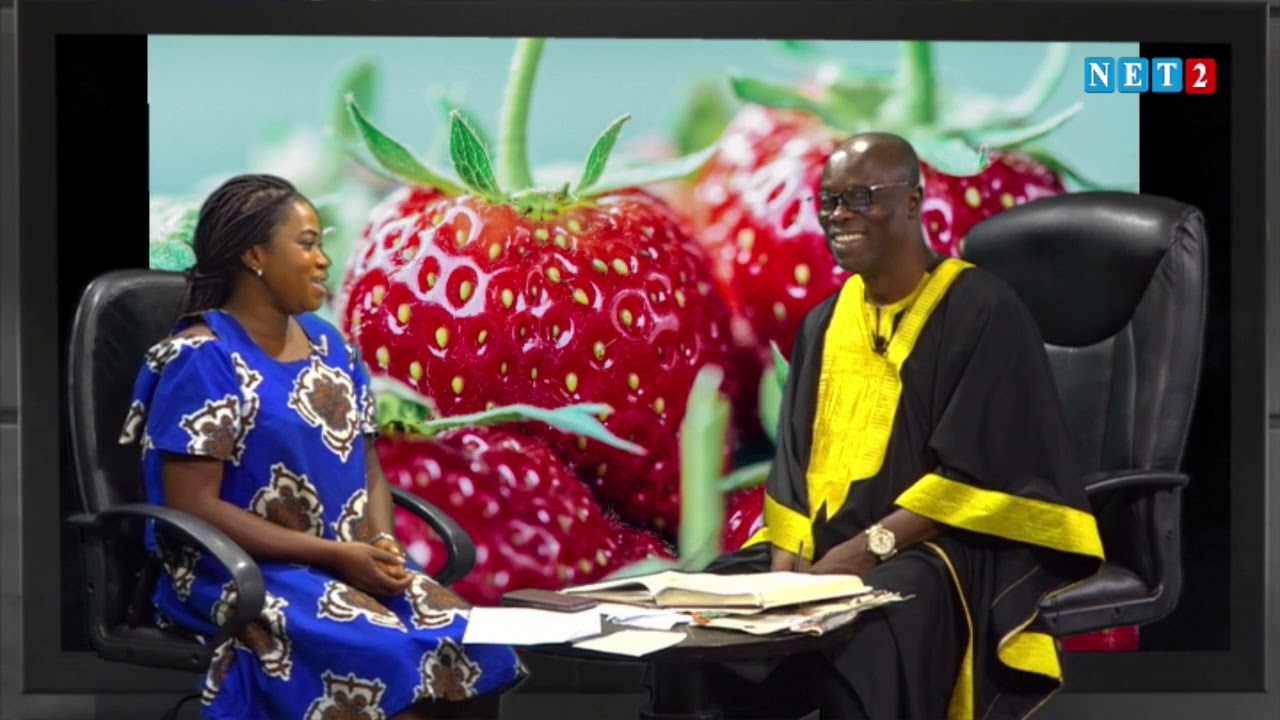 SECRETS OF HEALTH WITH OHENEBA BARIMA NTIM (AUGUST 6, 2021)
