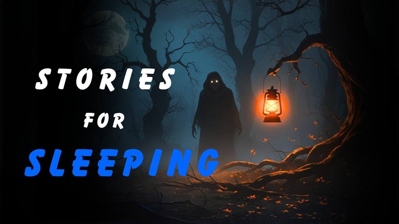 TRUE STORY TO FALL ASLEEP TO, Silent Witness &ndash; A Crime Mystery Story