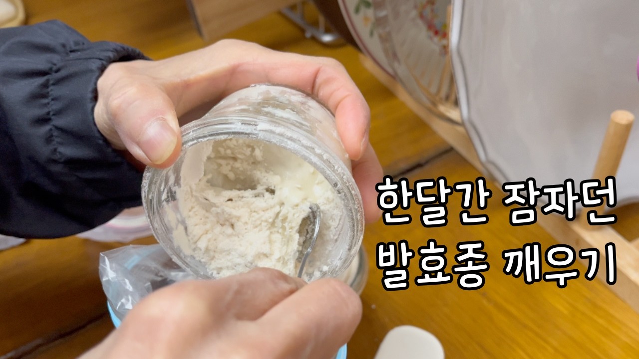 [Vlog] 한달간 비워둔 시골카페는 잘 있었을까요 | 우리밀 발효종, 장기간 보관방법