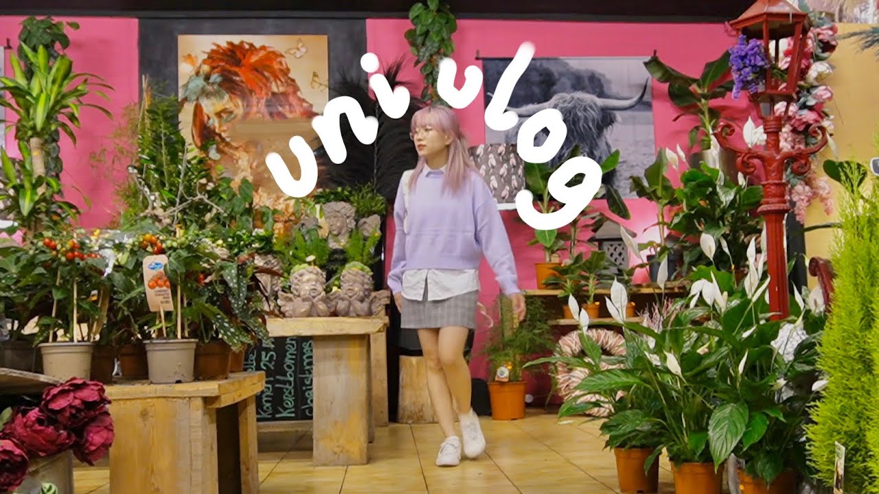 1 tuần tới trường📓 / tít ở Hà Lan